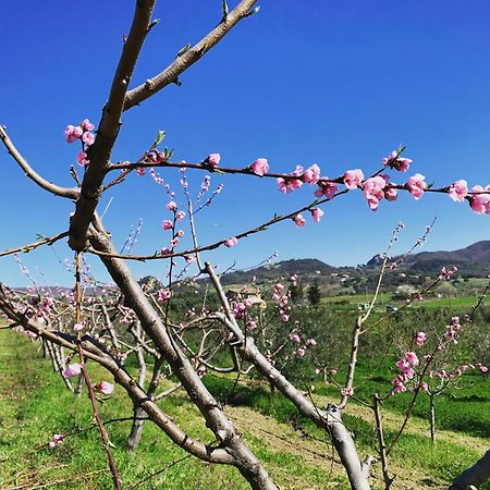 Agriturismo Casale Sasso Konuk evi Cerveteri Dış mekan fotoğraf