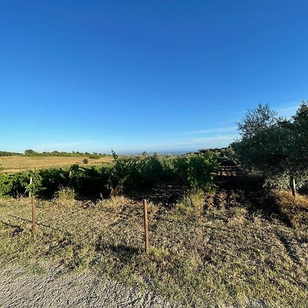 Agriturismo Casale Sasso Konuk evi Cerveteri Dış mekan fotoğraf