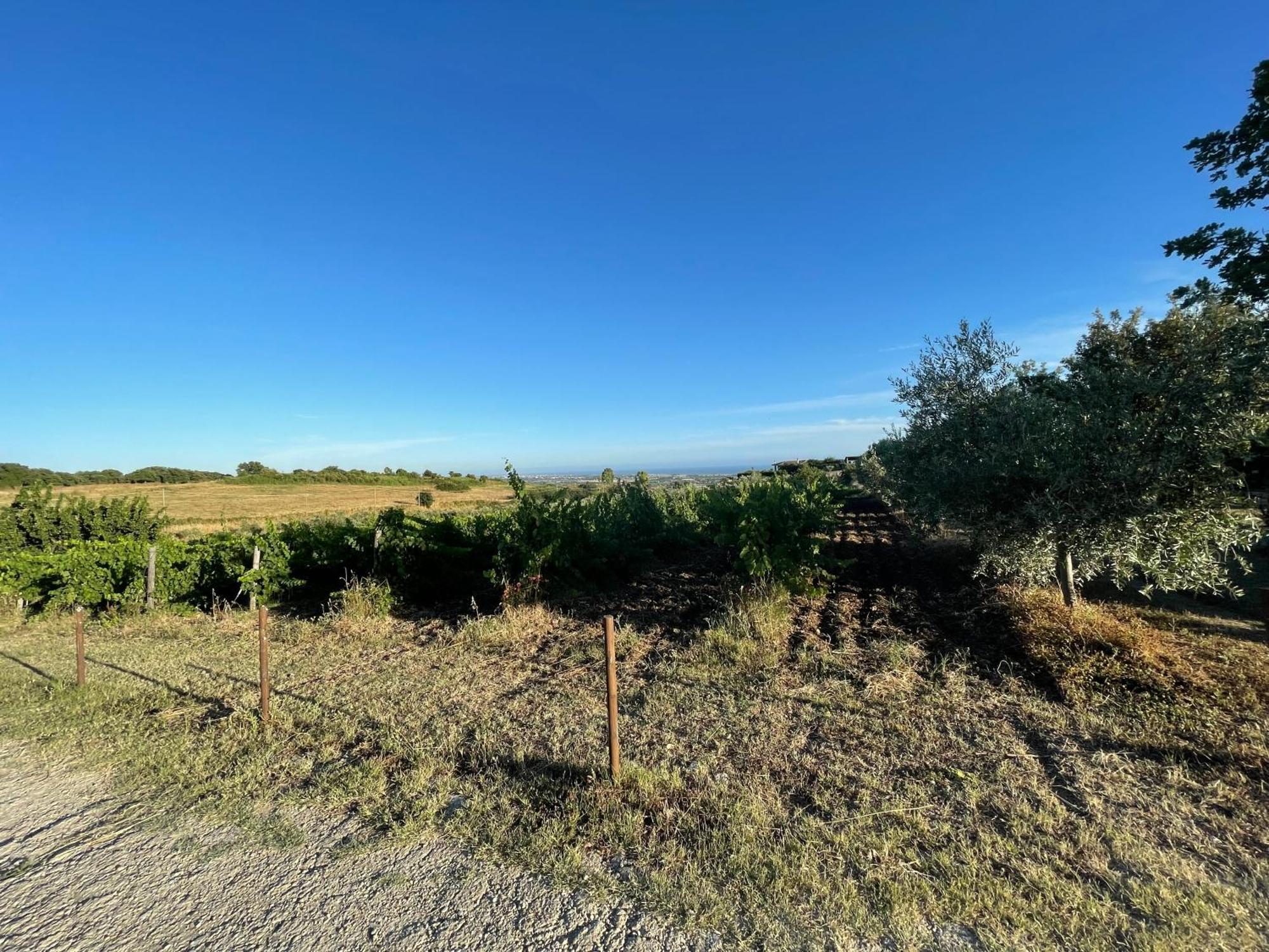 Agriturismo Casale Sasso Konuk evi Cerveteri Dış mekan fotoğraf