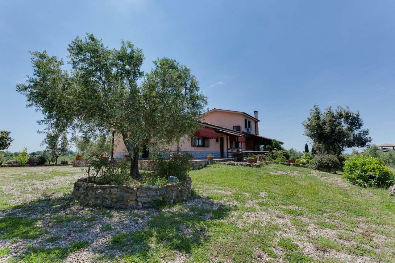 Agriturismo Casale Sasso Konuk evi Cerveteri Dış mekan fotoğraf