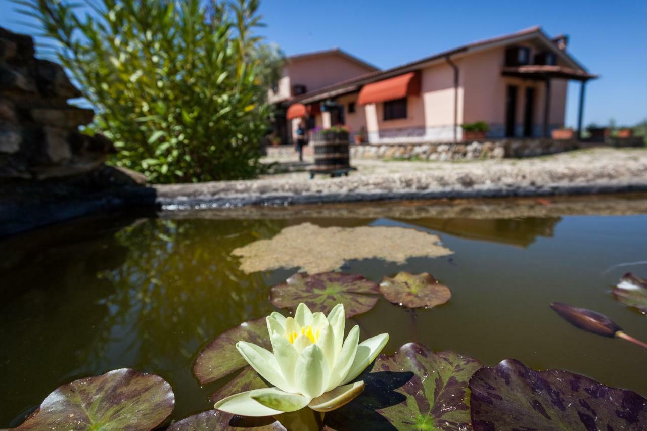 Agriturismo Casale Sasso Konuk evi Cerveteri Dış mekan fotoğraf