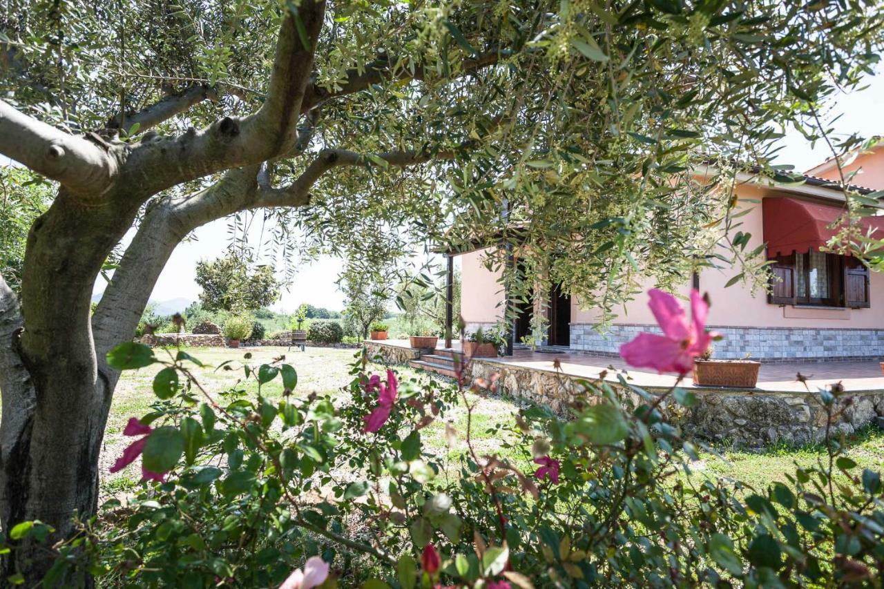 Agriturismo Casale Sasso Konuk evi Cerveteri Dış mekan fotoğraf