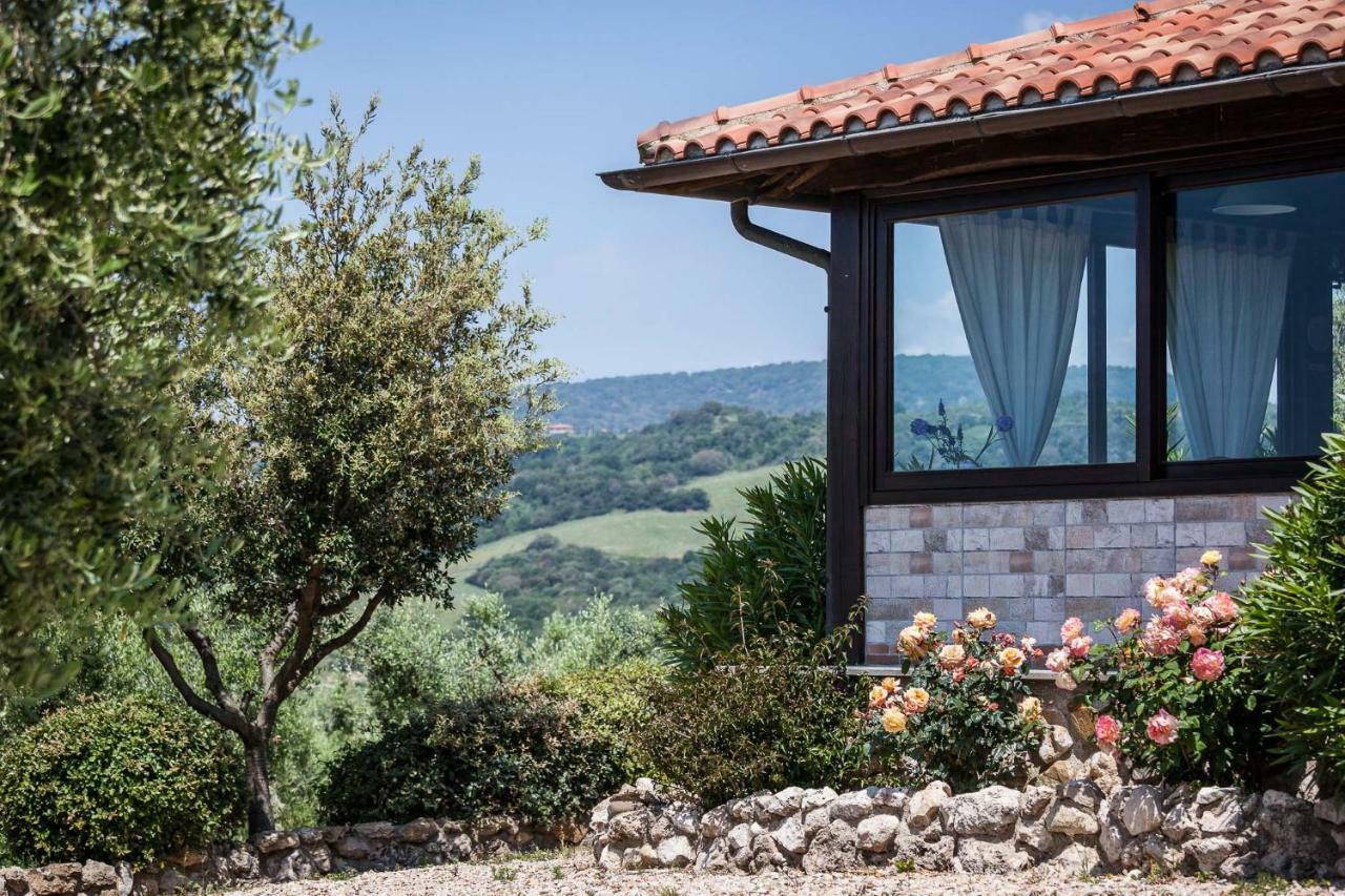 Agriturismo Casale Sasso Konuk evi Cerveteri Dış mekan fotoğraf