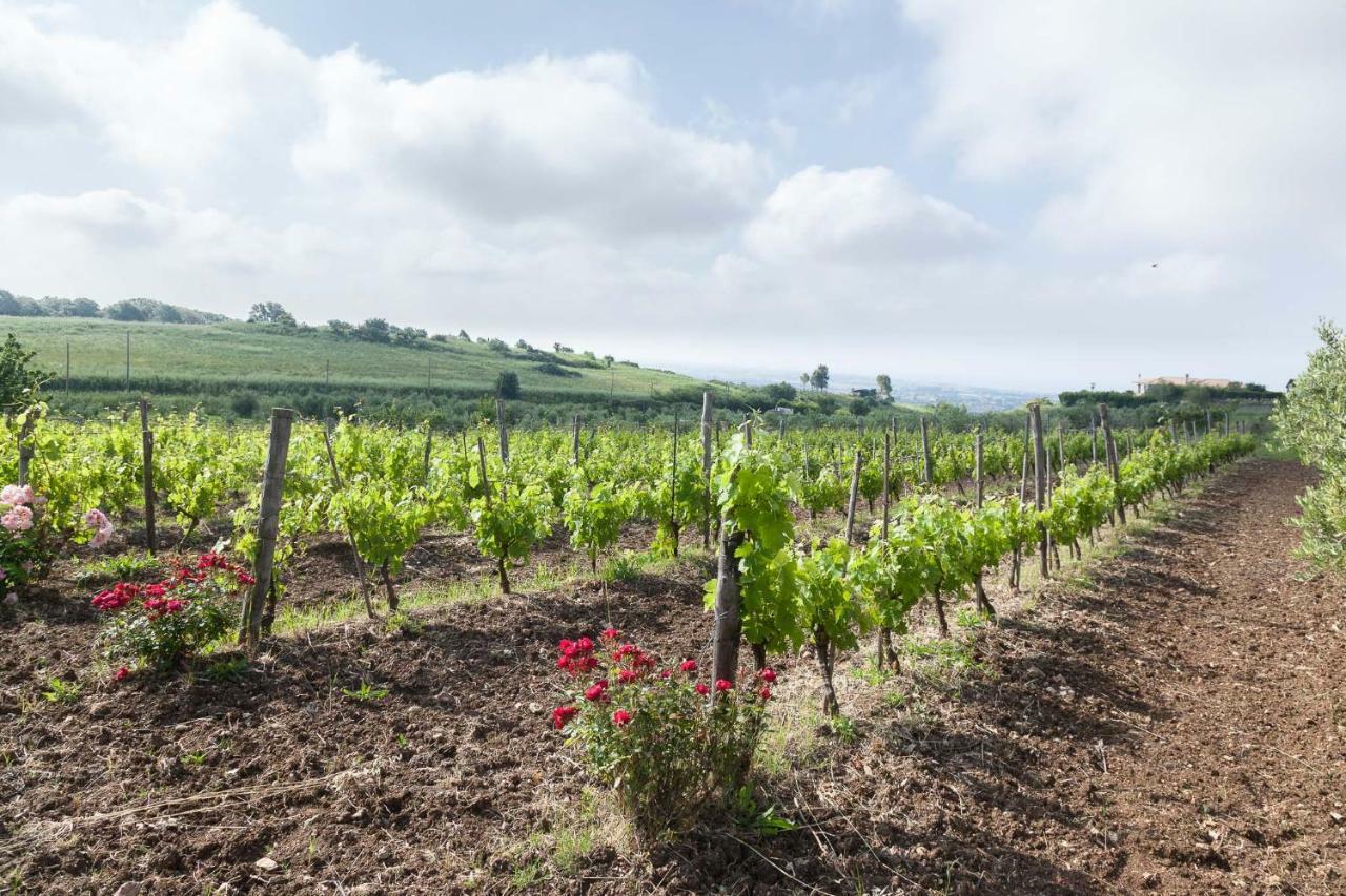 Agriturismo Casale Sasso Konuk evi Cerveteri Dış mekan fotoğraf