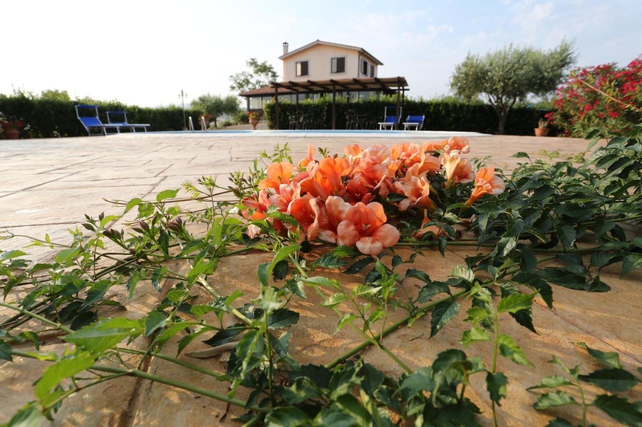 Agriturismo Casale Sasso Konuk evi Cerveteri Dış mekan fotoğraf